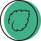 Mintalise.com